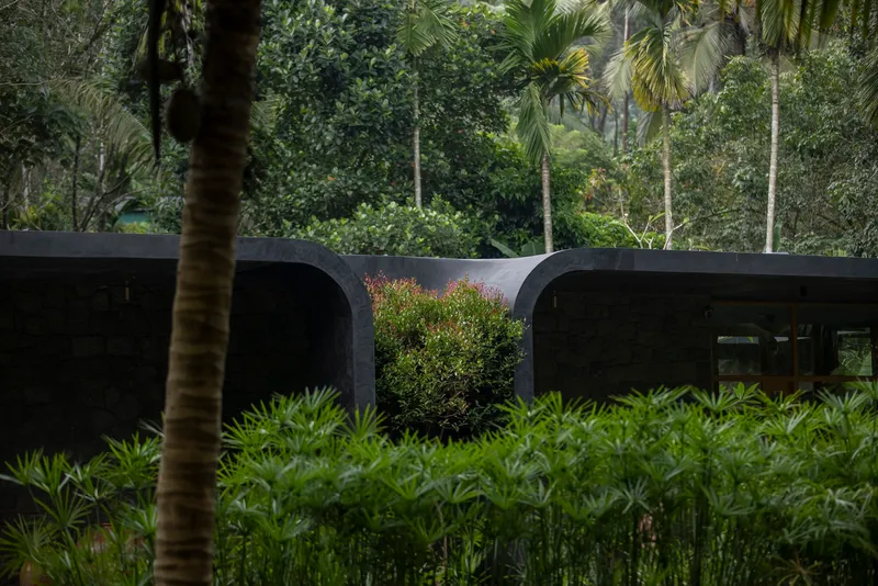 View of the curved concrete volumes embedded in hillside vegetation with bamboo in the foreground