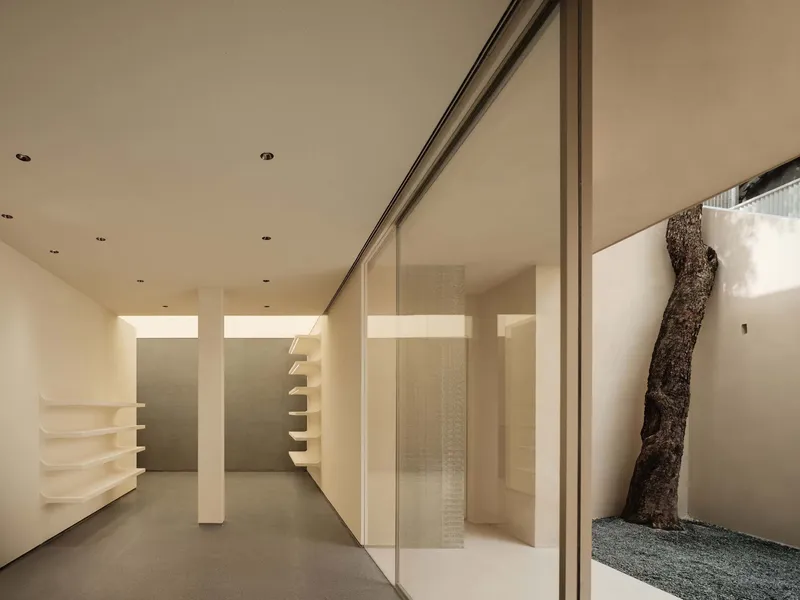 Minimalist interior with floor-to-ceiling glass partition revealing a preserved tree trunk in a gravel courtyard