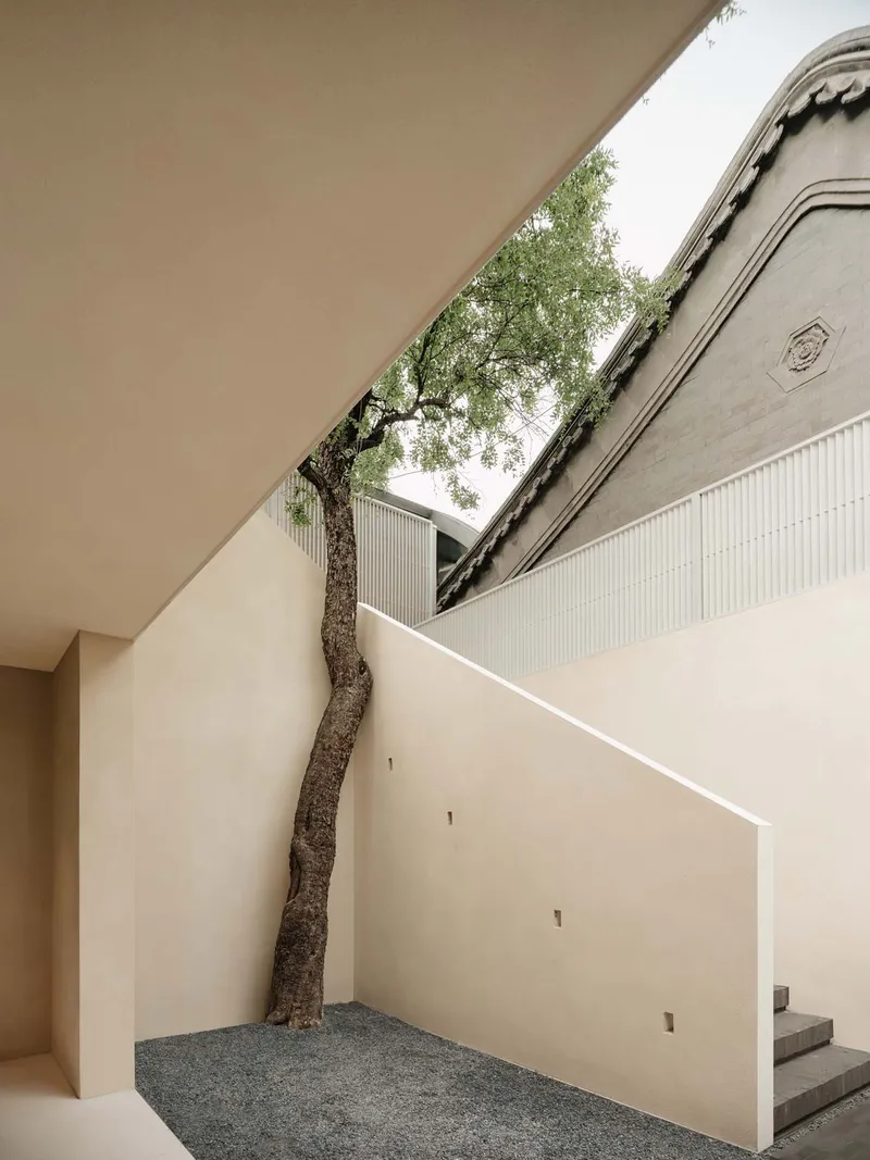 Diagonal skylight opening framing an existing tree growing through the white stucco courtyard volume