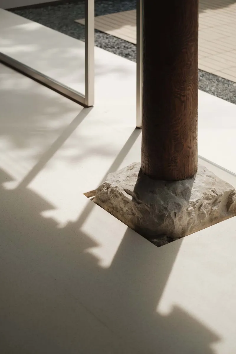 Detail of preserved tree trunk emerging from the terrazzo floor with dappled shadows crossing the surface