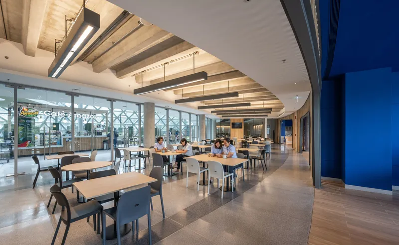 Cafeteria space with exposed timber ceiling beams and views to the diagrid-glazed garden terrace