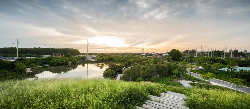 Elevated view of the timber boardwalk winding through planted wetland grasses beside a reflective pond at dusk