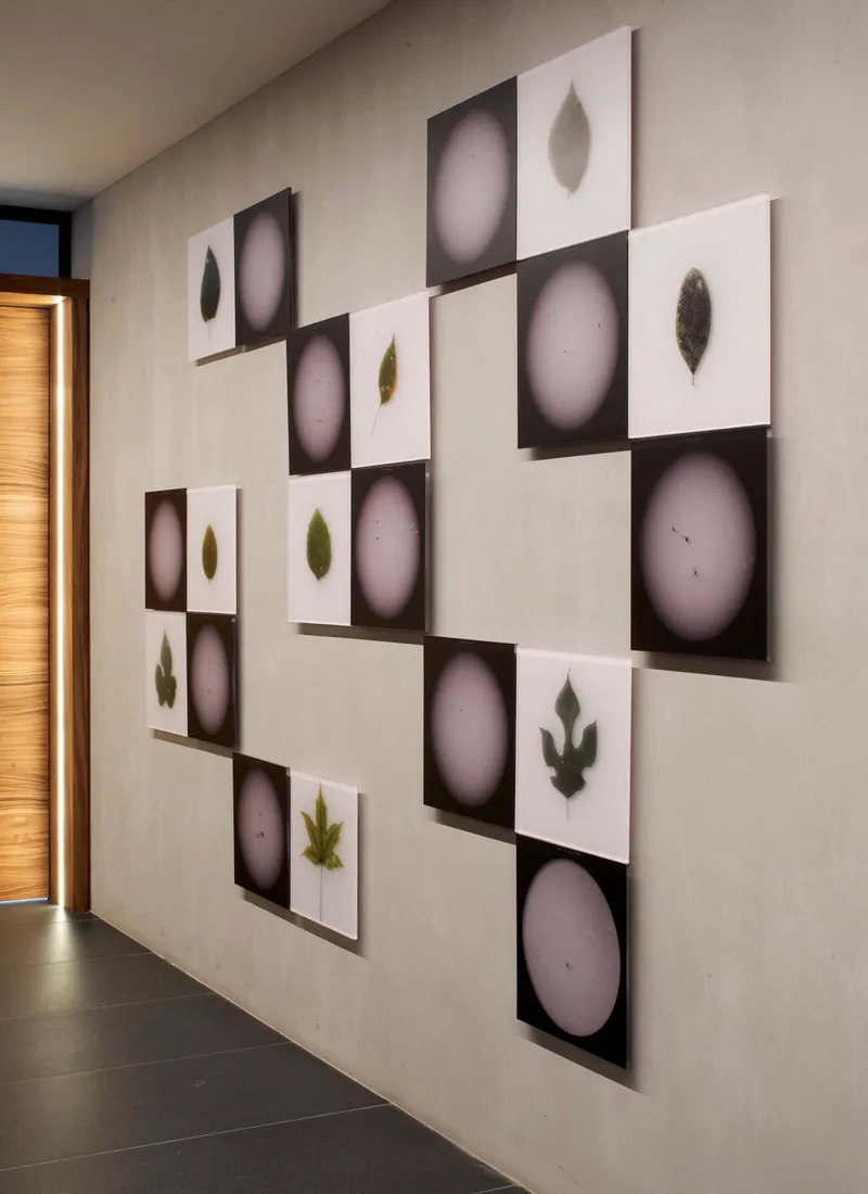 Gallery wall displaying alternating panels with leaf images and circular gradients near a timber door
