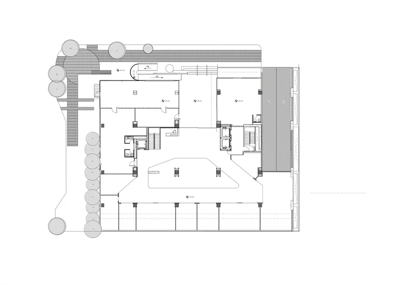 Ground floor plan showing entrance courtyard with tree grove and central atrium with curved skylight