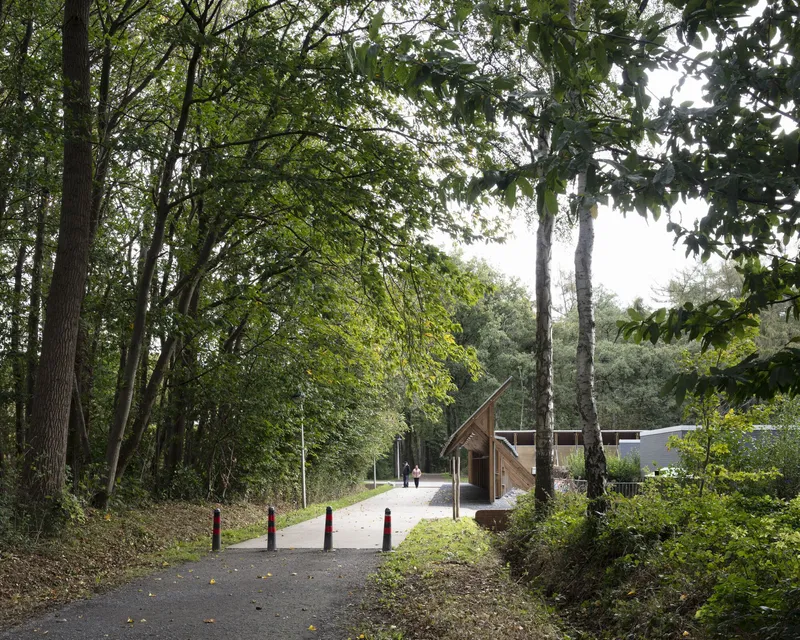 Distant view of timber portal structures glimpsed through mature trees along a wooded pathway