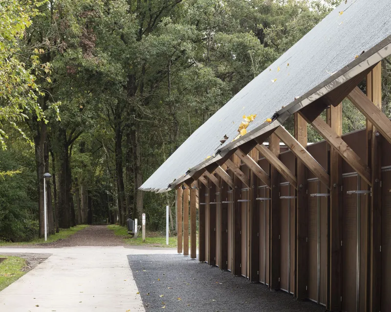 Repeating timber portal frames supporting the pitched roof with autumn leaves scattered on the edge