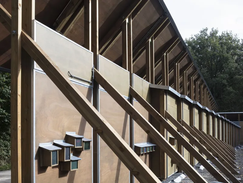 Close-up of plywood facade panels with small protruding shelves under the exposed timber roof rafters