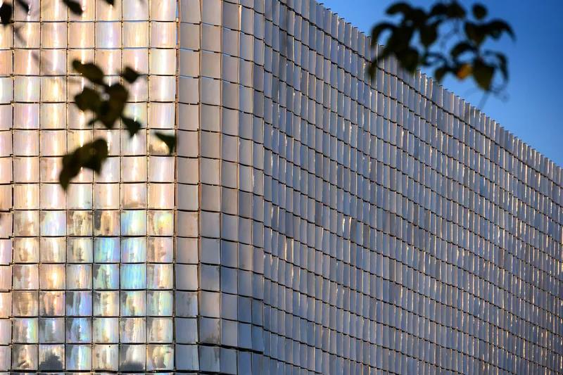 Glass tile facade with tree branches in the foreground reflecting warm sunlight and blue tones