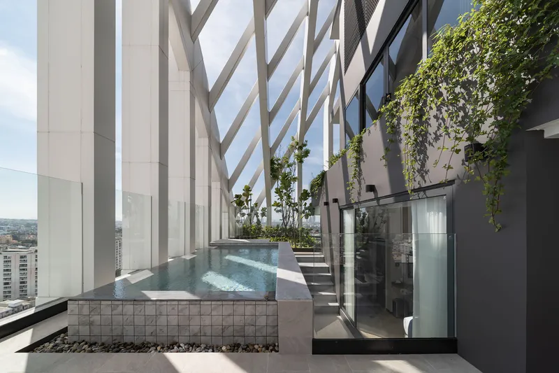 Terrace pool with glass tile edging and hanging vines above a glazed stairwell enclosure