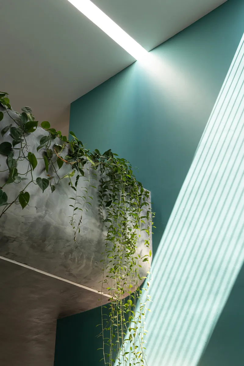 Double height space with trailing vines descending from upper level and recessed ceiling slot