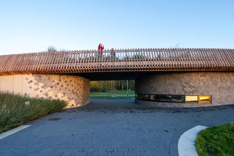 Evening view of the curved roof terrace with visitors above the hexagonal concrete facade