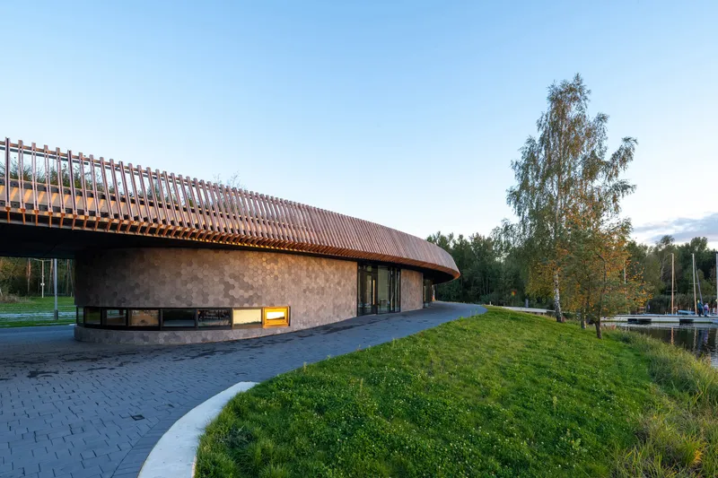 Exterior elevation showing the curving timber roof and concrete base beside birch trees at dusk