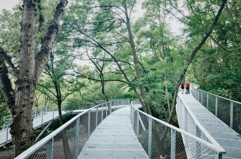 Elevated metal mesh walkway winding through dense tree canopy with two figures in the distance