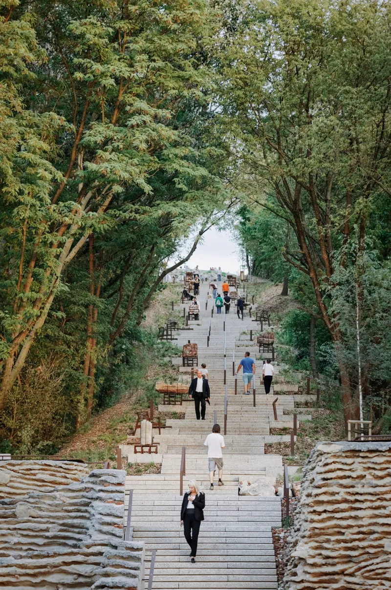 Long timber staircase rising through tree-framed clearing with visitors scattered along the steps
