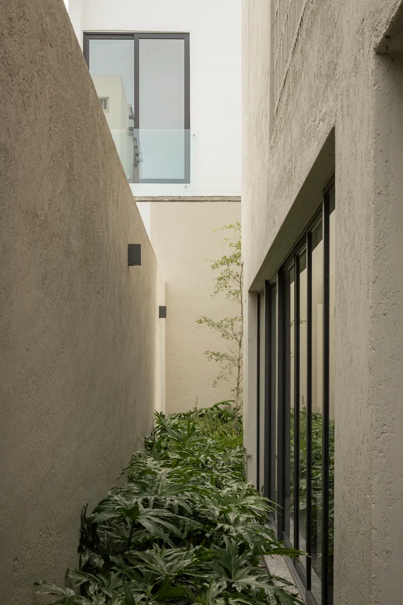 Narrow courtyard between concrete walls with planted greenery and small tree below upper window
