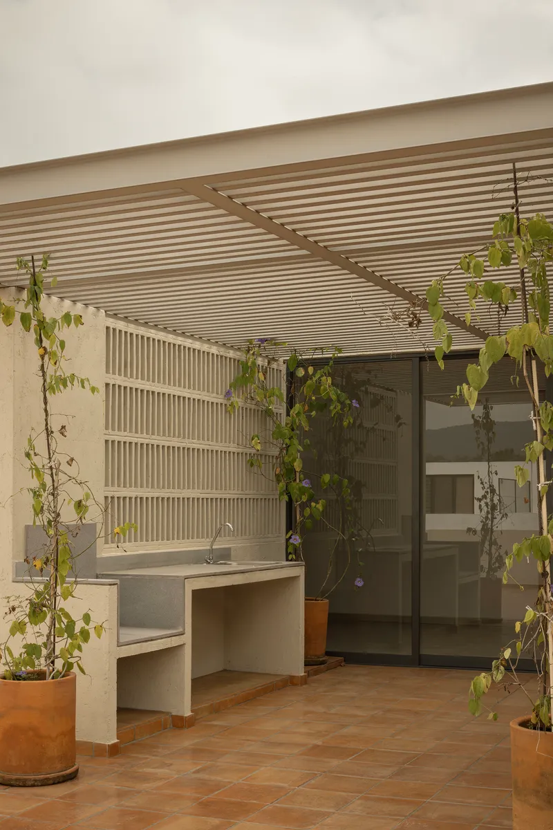 Covered terrace with slatted timber ceiling, concrete countertop and climbing vines in terracotta pots