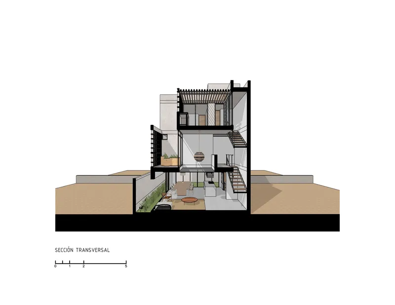 Transverse section revealing three stacked floors with exposed steel beams and a rooftop pergola structure