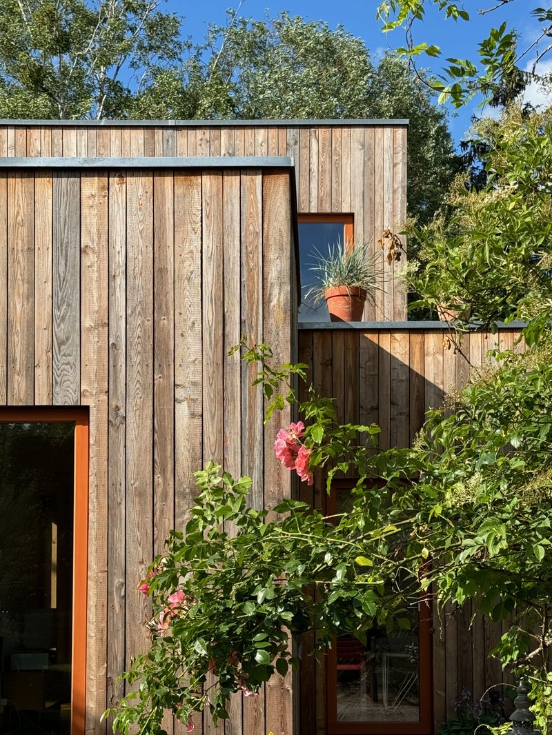 Vertical timber facade with recessed balcony and terracotta pot surrounded by flowering pink roses and green foliage