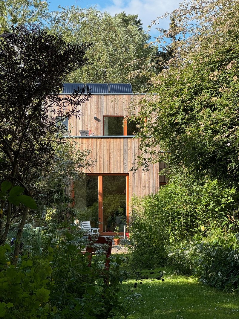 Timber facade with stacked windows framed by dense garden foliage in afternoon light