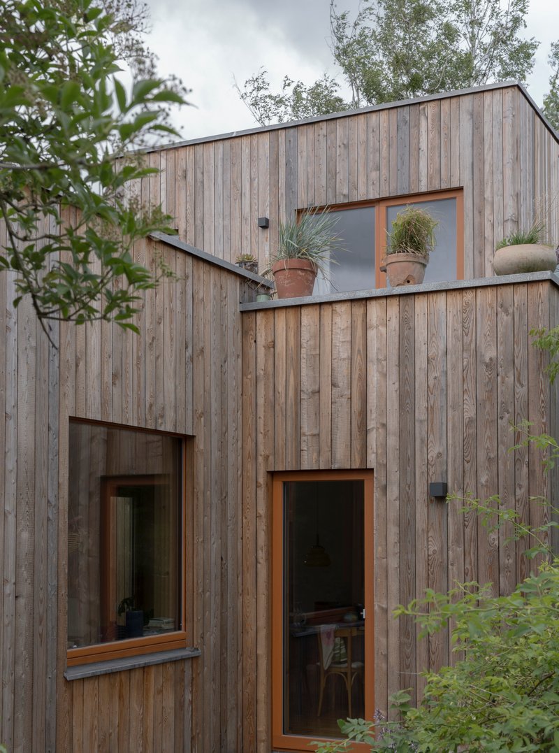 Weathered timber cladding with offset windows and potted grasses on an upper balcony ledge