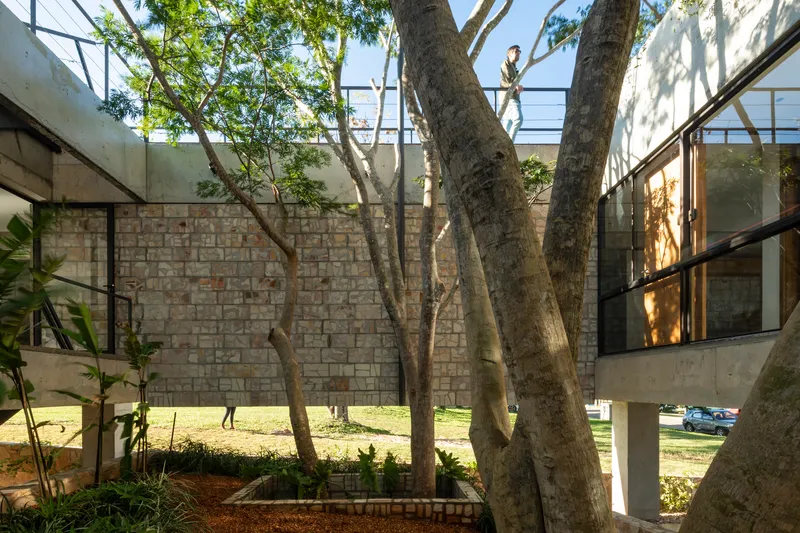 Interior courtyard with stone block wall, preserved trees, and planted beds beneath glass bridge