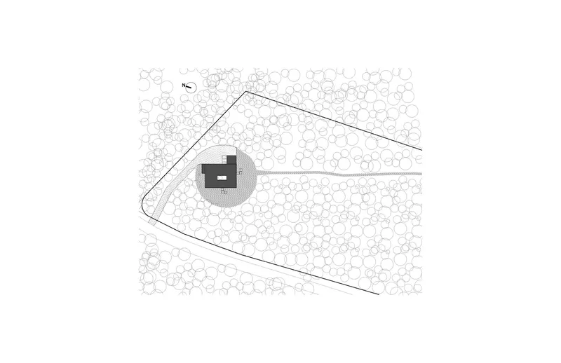 Site plan drawing showing rectangular volumes within an irregular wooded lot outlined by trees