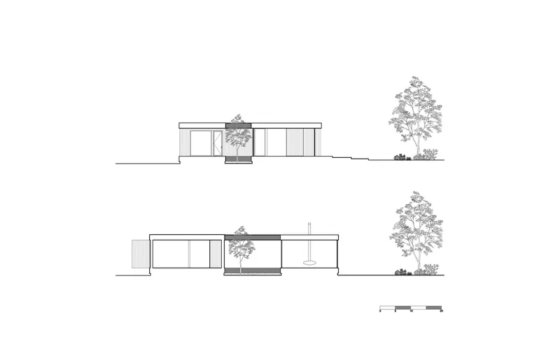 Elevation drawings showing entry sequences with courtyard openings and adjacent trees