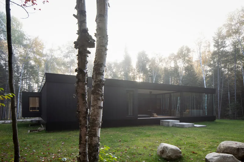 Low horizontal volume framed by birch trunks in a misty forest clearing