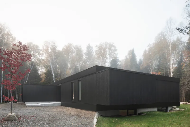 Dark timber cladding and vertical window slots beside a gravel drive in fog