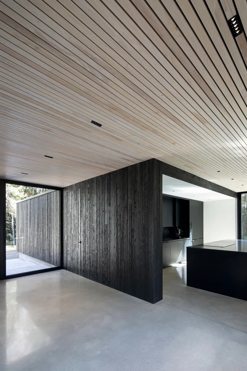 Open-plan interior with charred timber volume and linear slatted ceiling above polished concrete floors