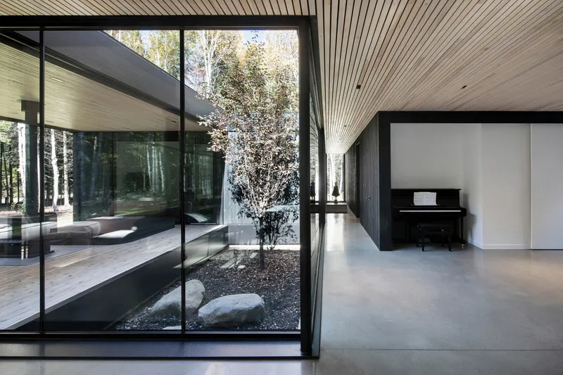 Interior corridor alongside glazed courtyard with planted birch tree and black gravel bed