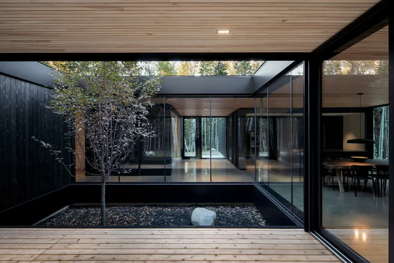 View from timber deck into glass-enclosed courtyard with young tree and black gravel at dusk