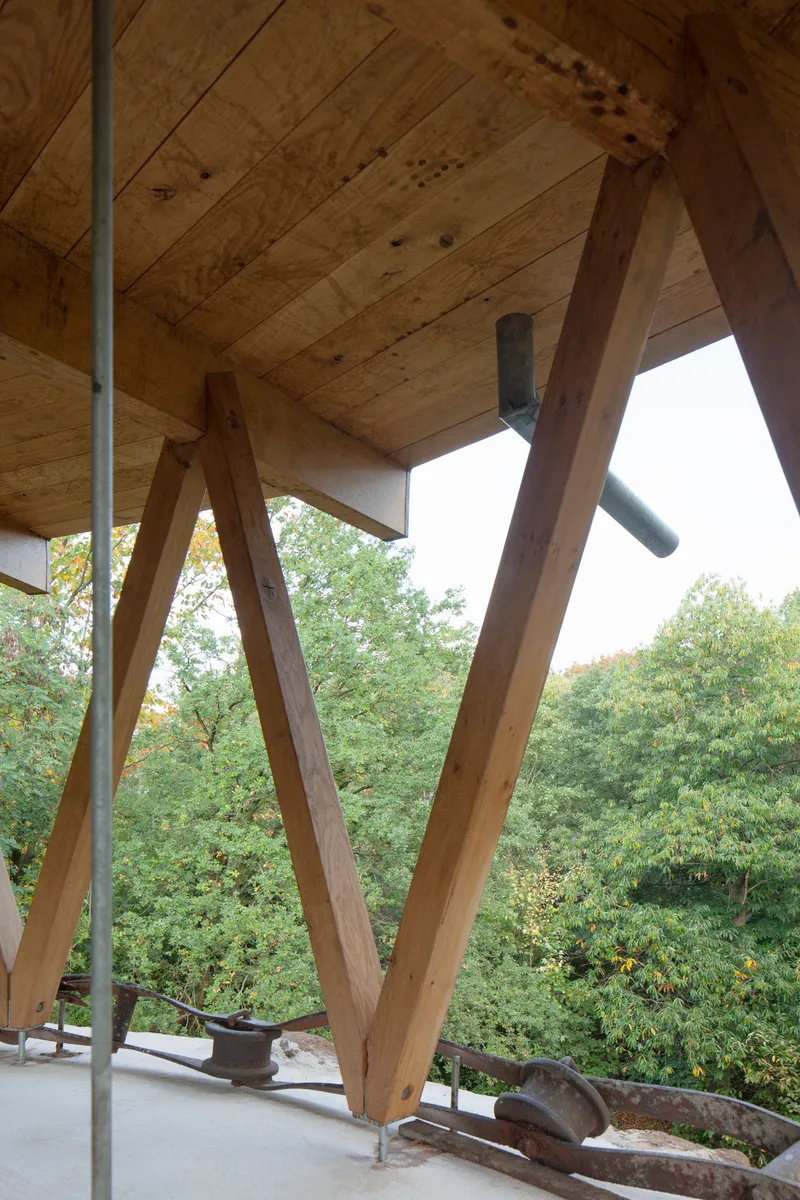 Underside of plywood deck supported by angled timber struts overlooking the forest canopy