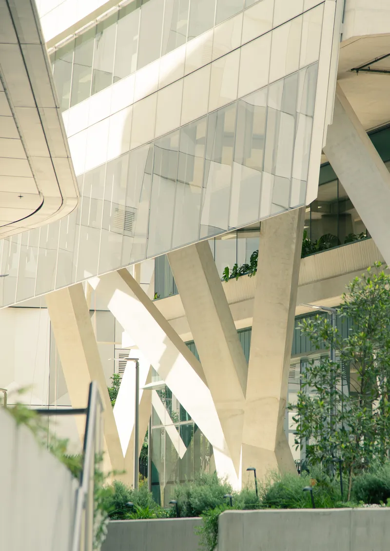 Courtyard view of white structural columns with glazed ceiling panels and planted beds