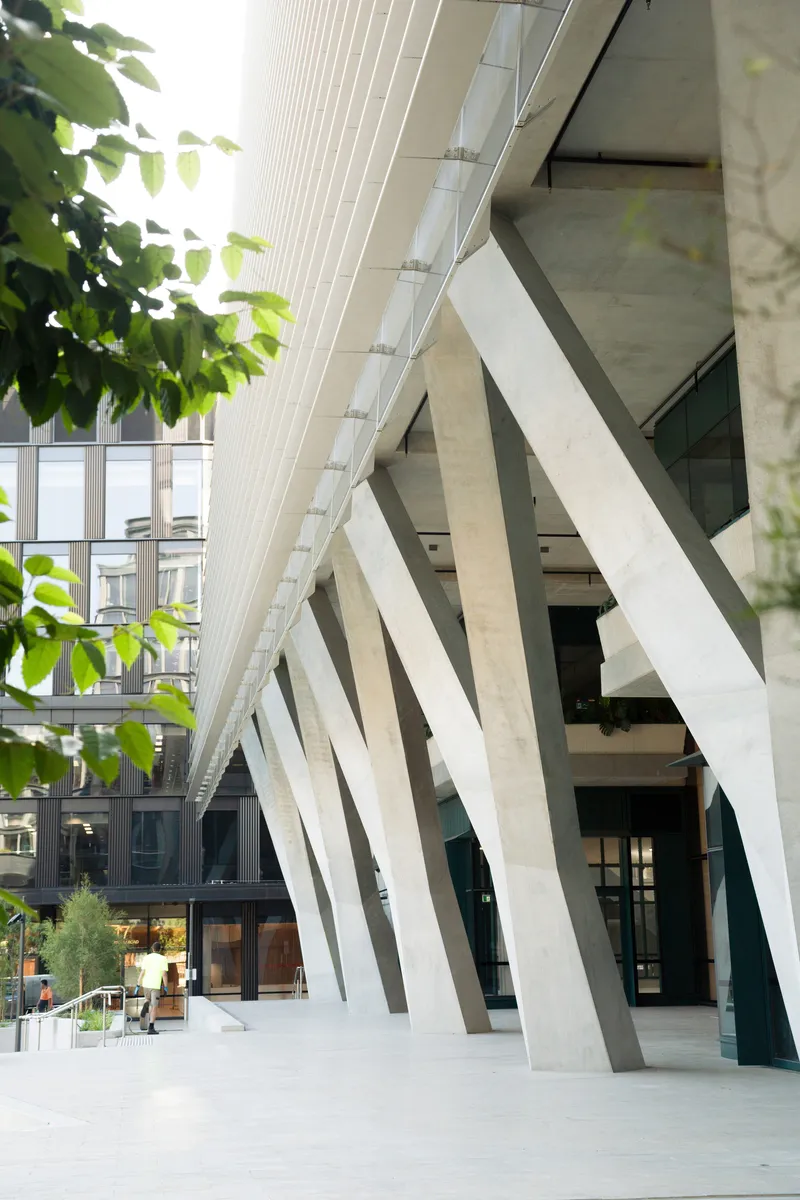 Angled white structural columns beneath glazed soffit with green foliage in foreground