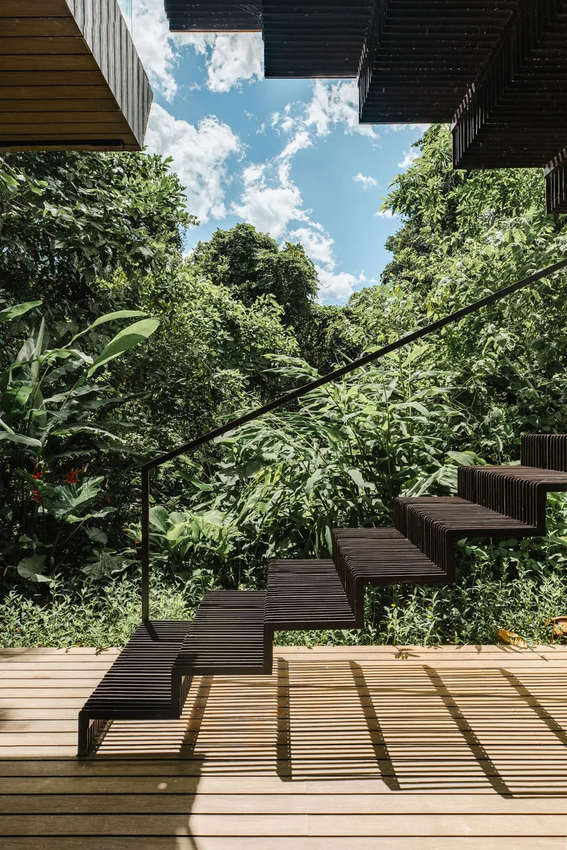 Timber deck stair descending through planted slope with banana leaves and canopy overhead