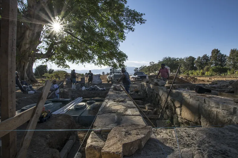 Stone foundation blocks and timber formwork beneath a large tree on the construction site