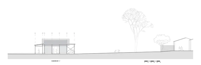 Elevation drawing showing a low pavilion with glazed walls and exposed cross-bracing beneath a tree