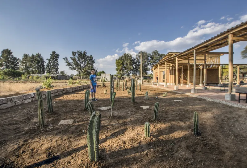 Newly planted cacti in dry earth surrounding the open timber frame structure under blue sky