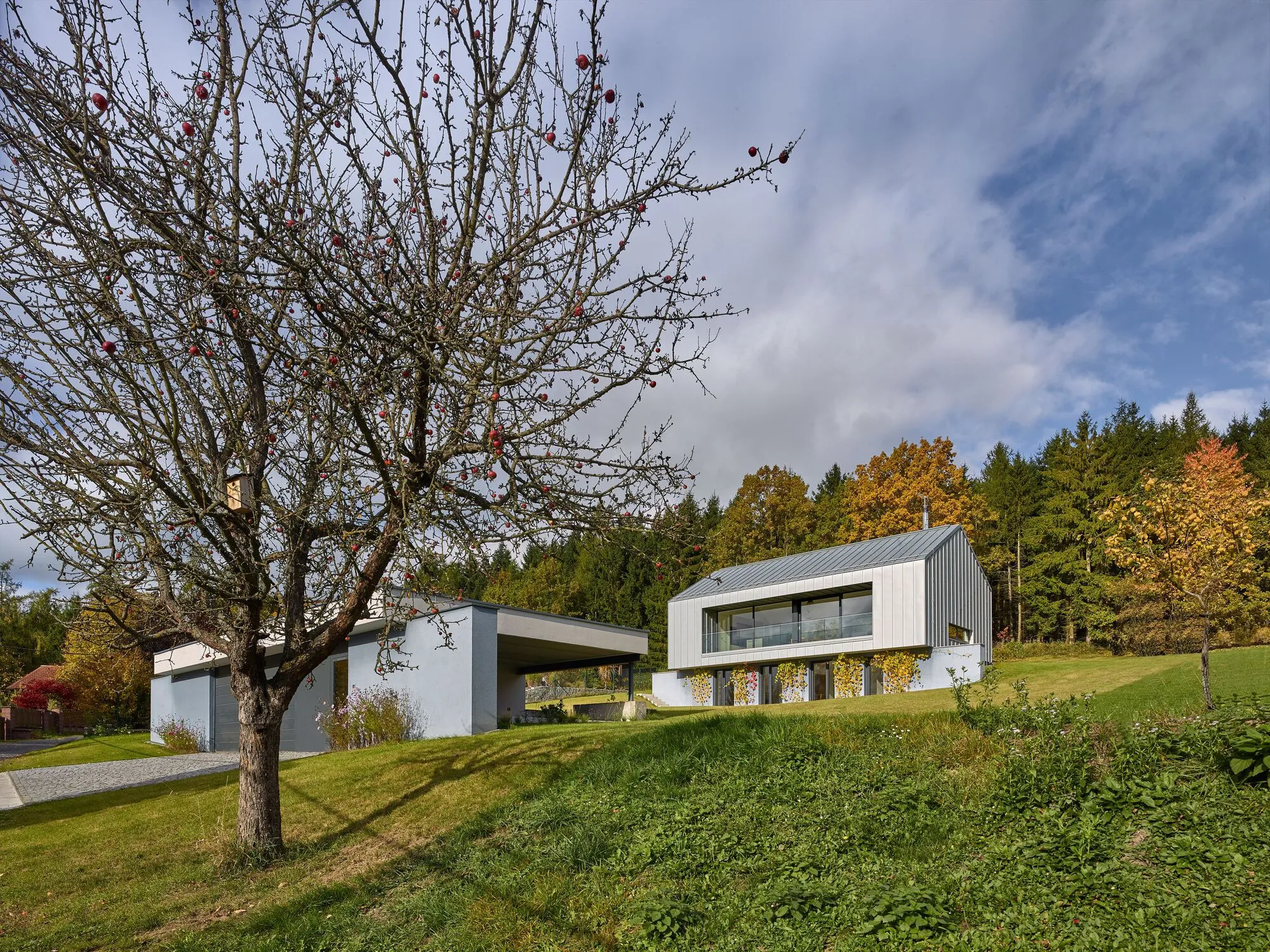 Stempel & Tesar Sink a Family Home into a Czech Hillside Facing the Mountains