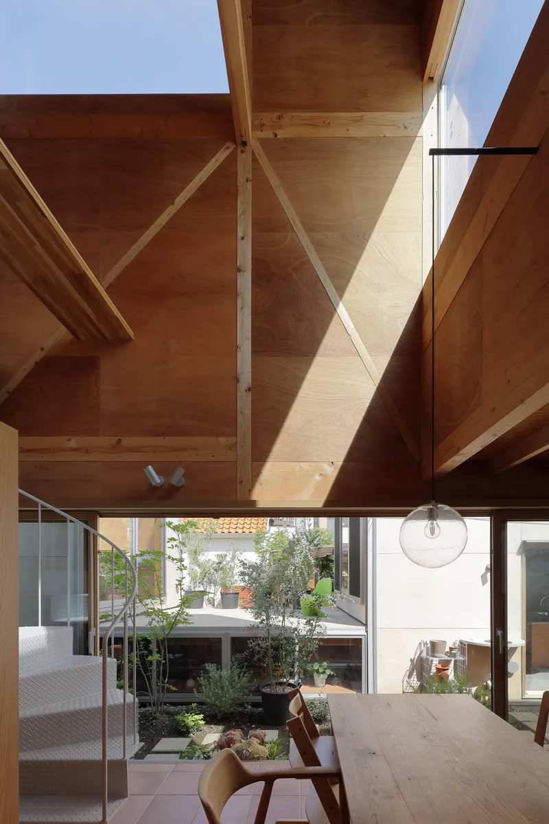 View through a plywood-lined volume with diagonal timber bracing toward the planted courtyard below