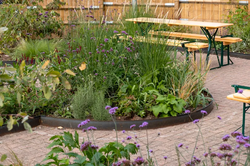 Circular planted bed with grasses and purple flowering plants on paved courtyard beside folding wooden tables