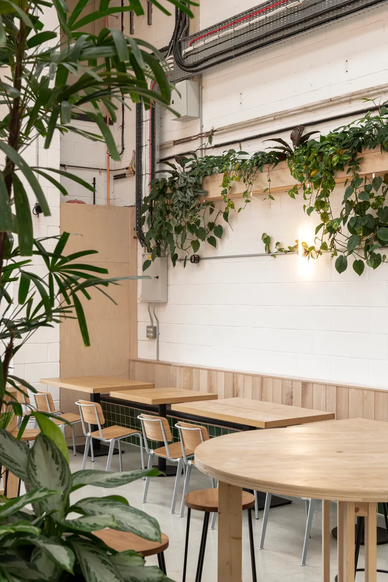 Corner seating nook with round timber tables and trailing plants mounted on white corrugated metal walls
