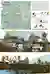The Borobi Sanctuary: A Koala Rehabilitation Center Architecture Designed for Conservation and Coexistence