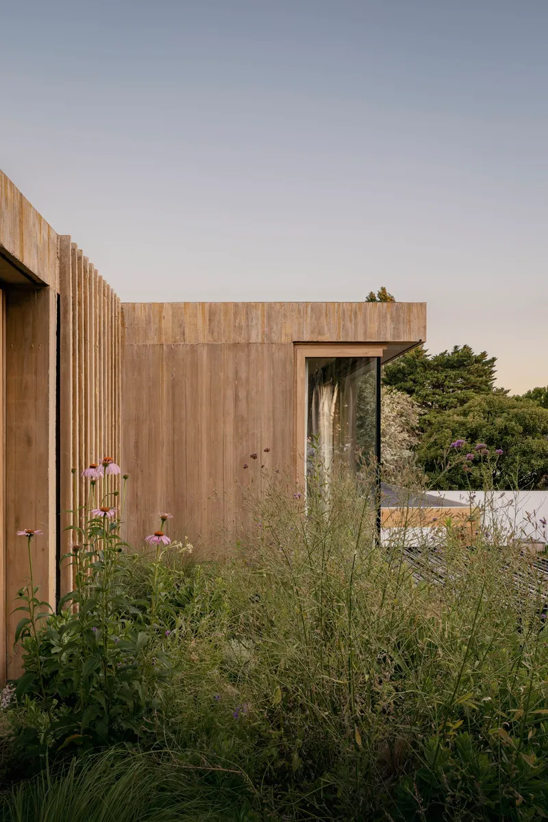 Timber facade glimpsed through wildflowers and native grasses at dusk