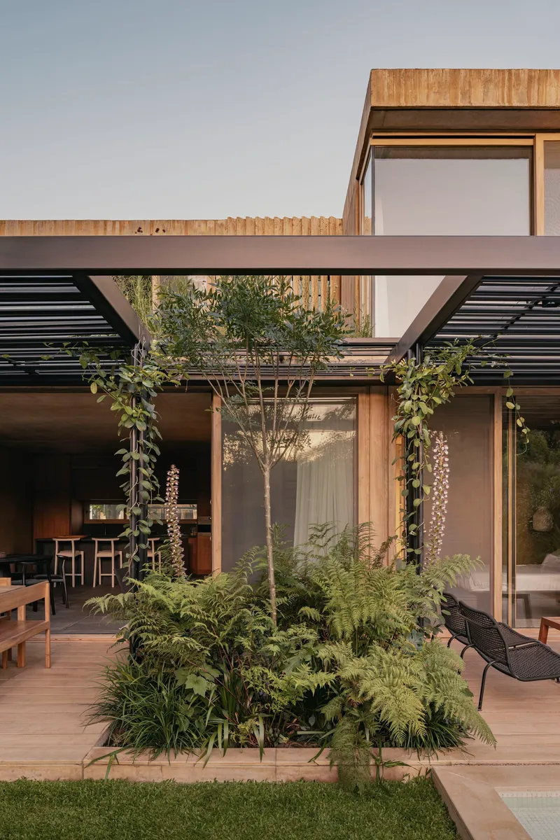 Courtyard with planted bed and central tree framed by timber and concrete volumes