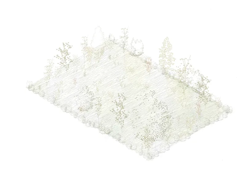 Isometric site drawing depicting the sloped terrain with scattered trees and vegetation clusters