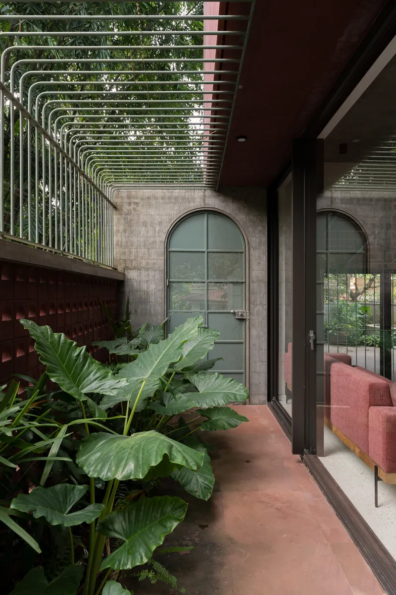 Covered walkway with tubular steel pergola overhead and planted bed with elephant ear leaves along the path