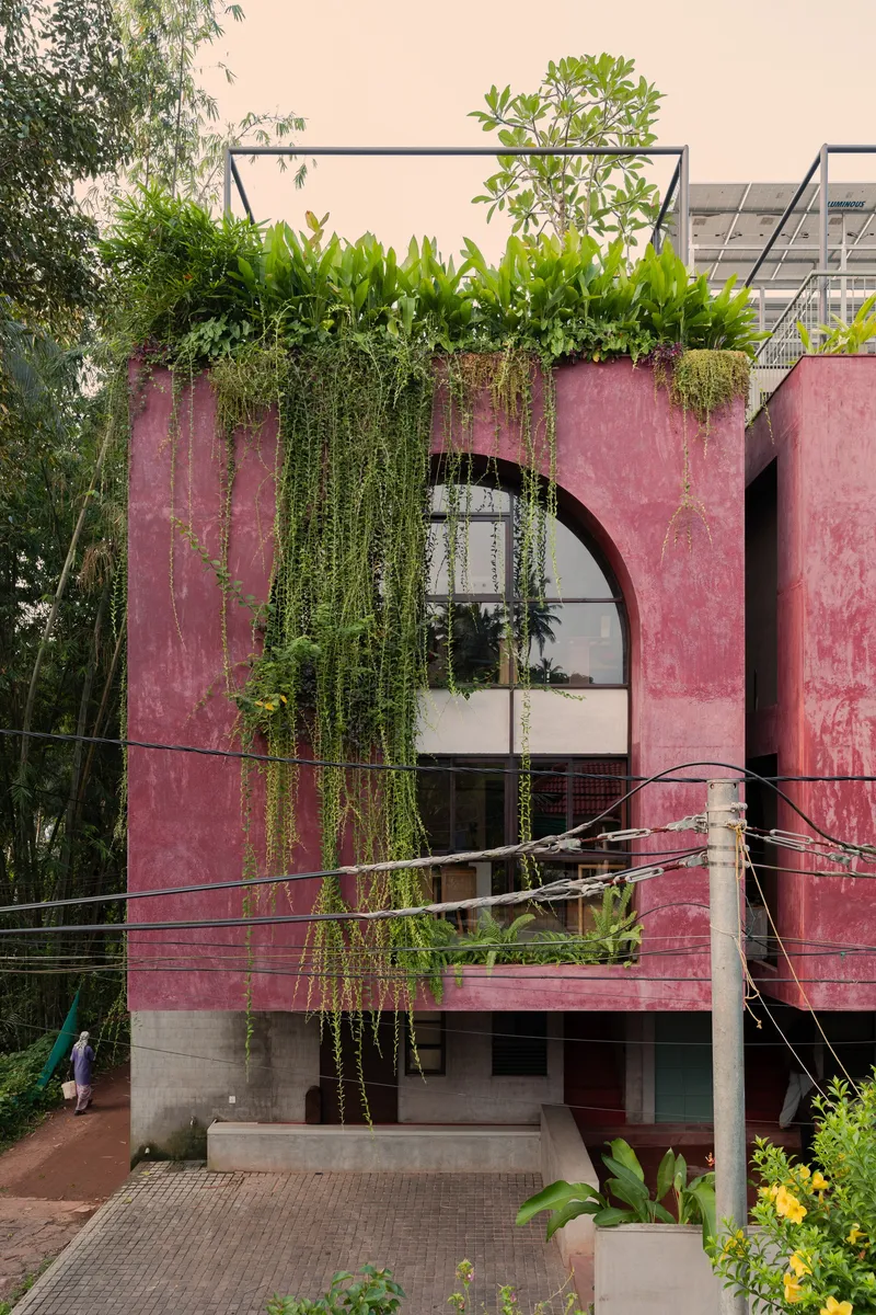 Pink textured facade with arched window openings and rooftop planter box trailing vines over utility wires