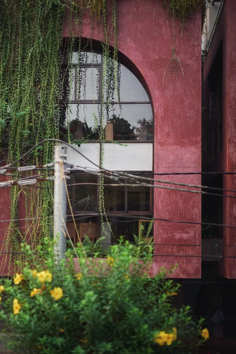 Arched window with trailing vines and yellow flowering shrubs against the pink stucco facade